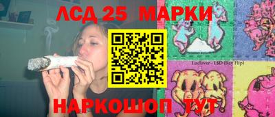 mdpv Камышлов