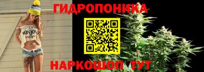 бошки Кандалакша